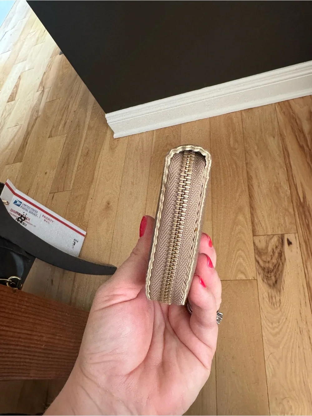 Loewe Metallic Gold:Taupe Zip Wallet with Tassel
